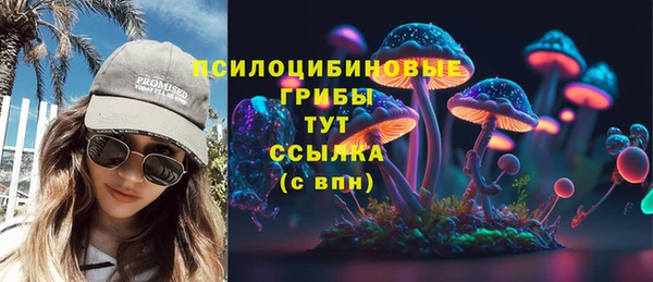 молекула духа Беломорск