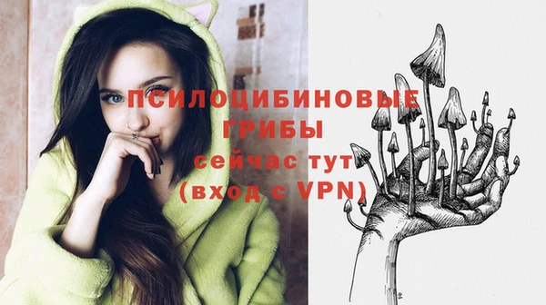 молекула духа Беломорск