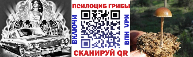 Галлюциногенные грибы GOLDEN TEACHER  mega как войти  Кушва  магазин   